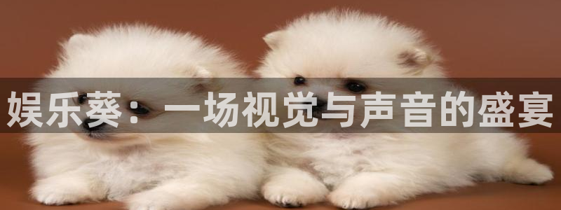 新宝gg官网登录：娱乐葵：一场视觉与声音的盛宴