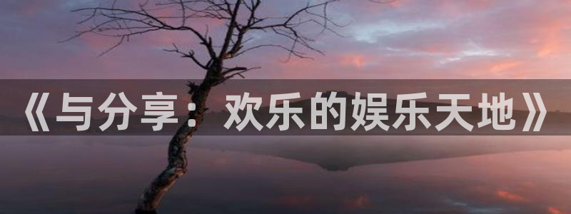 新宝5登录手机版：《与分享：欢乐的娱乐天地》