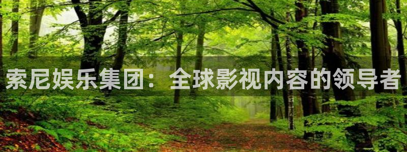 新宝5：索尼娱乐集团：全球影视内容的领导者