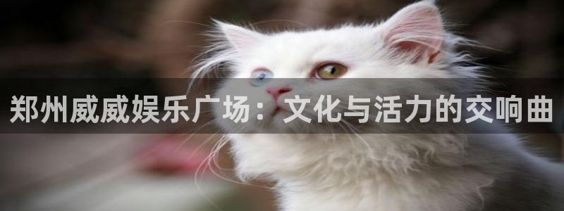 新宝gg官网：郑州威威娱乐广场：文化与活力的交响曲