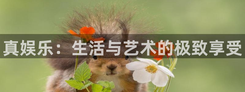 新宝gg官网：真娱乐：生活与艺术的极致享受