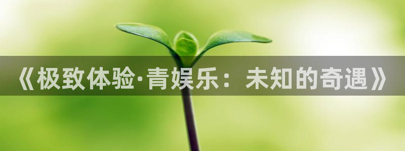 新宝5登录：《极致体验·青娱乐：未知的奇遇》