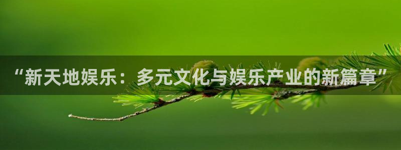 新宝gg娱乐：“新天地娱乐：多元文化与娱乐产业的新篇章”