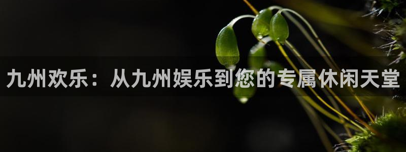 新宝gg在线注册：九州欢乐：从九州娱乐到您的专属休闲天堂