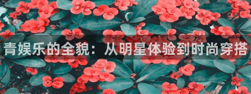 新宝5登录手机版：青娱乐的全貌：从明星体验到时尚穿搭