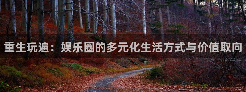 新宝5登录手机版：重生玩遍：娱乐圈的多元化生活方式与价值取向