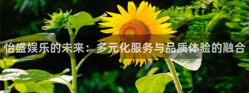 新宝gg平台：怡盛娱乐的未来：多元化服务与品质体验的融合