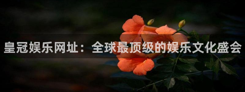 upload/20250701114914.jpg